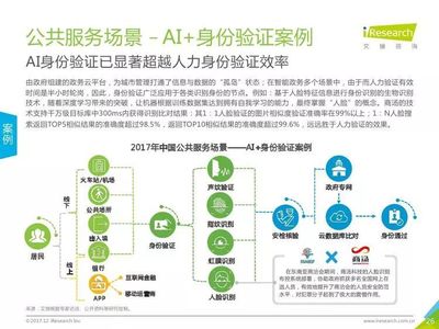 2017年中国人工智能城市展望 人工智能公共服务技术咨询服务的角色与路径