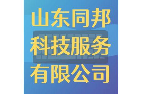 信息咨询服务(不含许可类信息咨询服务);信息技术咨询服务;企业管理
